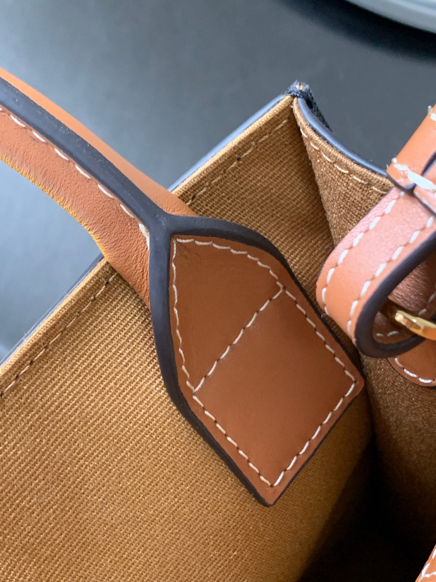 Celine Mini Vertical Cabas in Triomphe Canvas with Celine Print