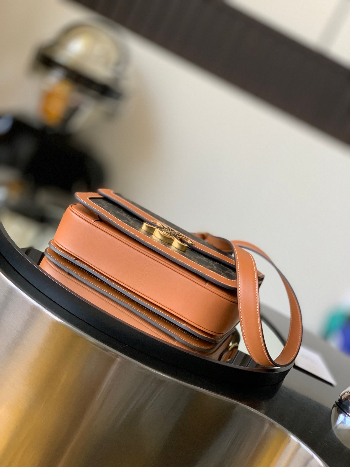 Celine Teen Triomphe Canvas and Calfskin Bag