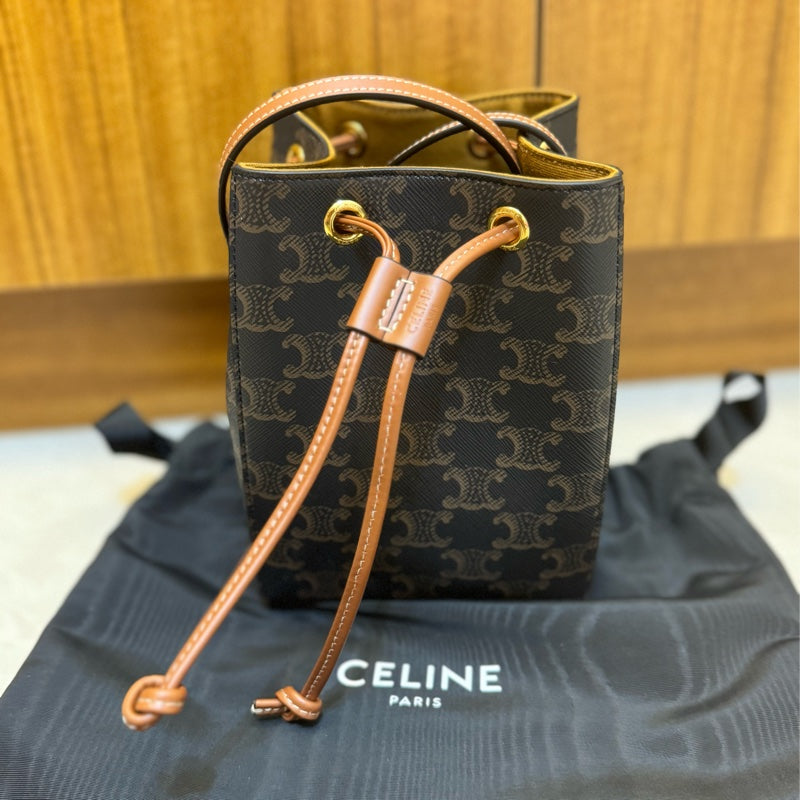 Celine Clara Bag in Triomphe Canvas and Calfskin