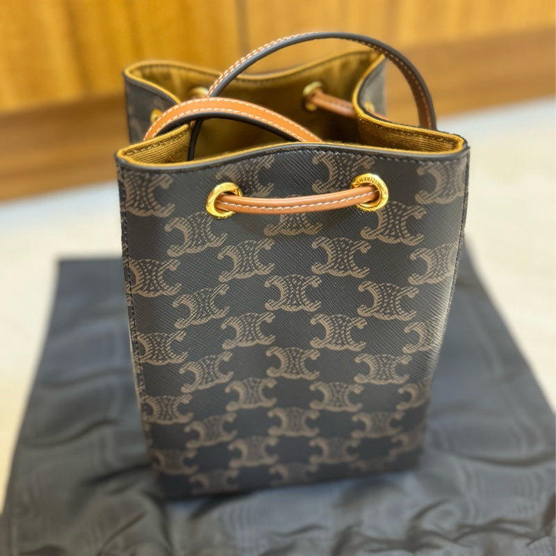 Celine Clara Bag in Triomphe Canvas and Calfskin