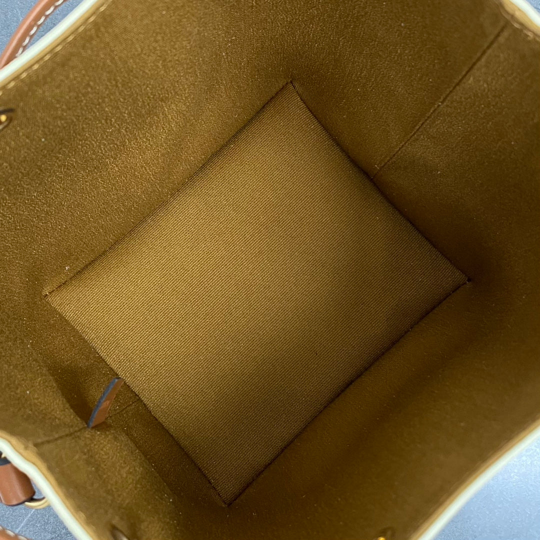 Celine Clara Bag in Triomphe Canvas and Calfskin