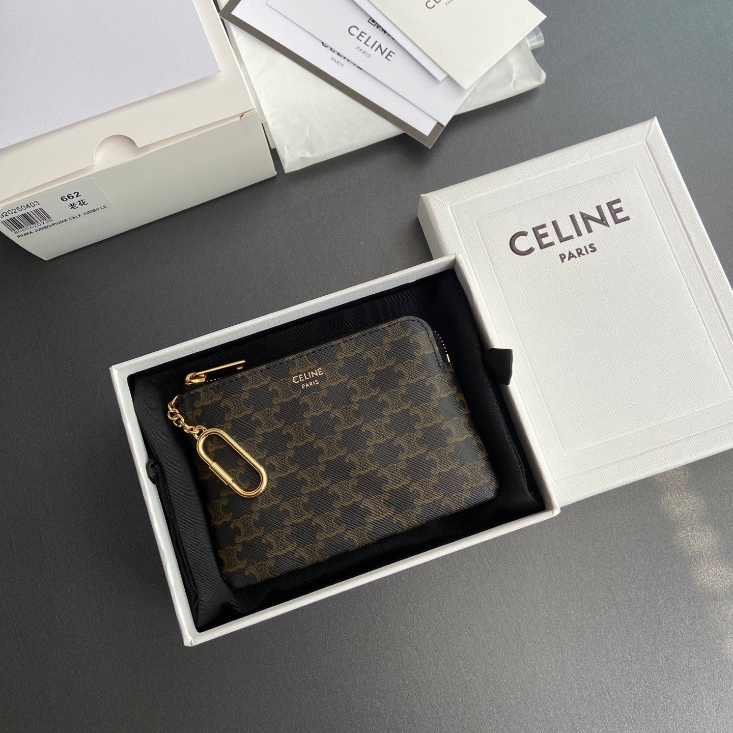 Celine Small Pouch in Triomphe Canvas with Celine Print