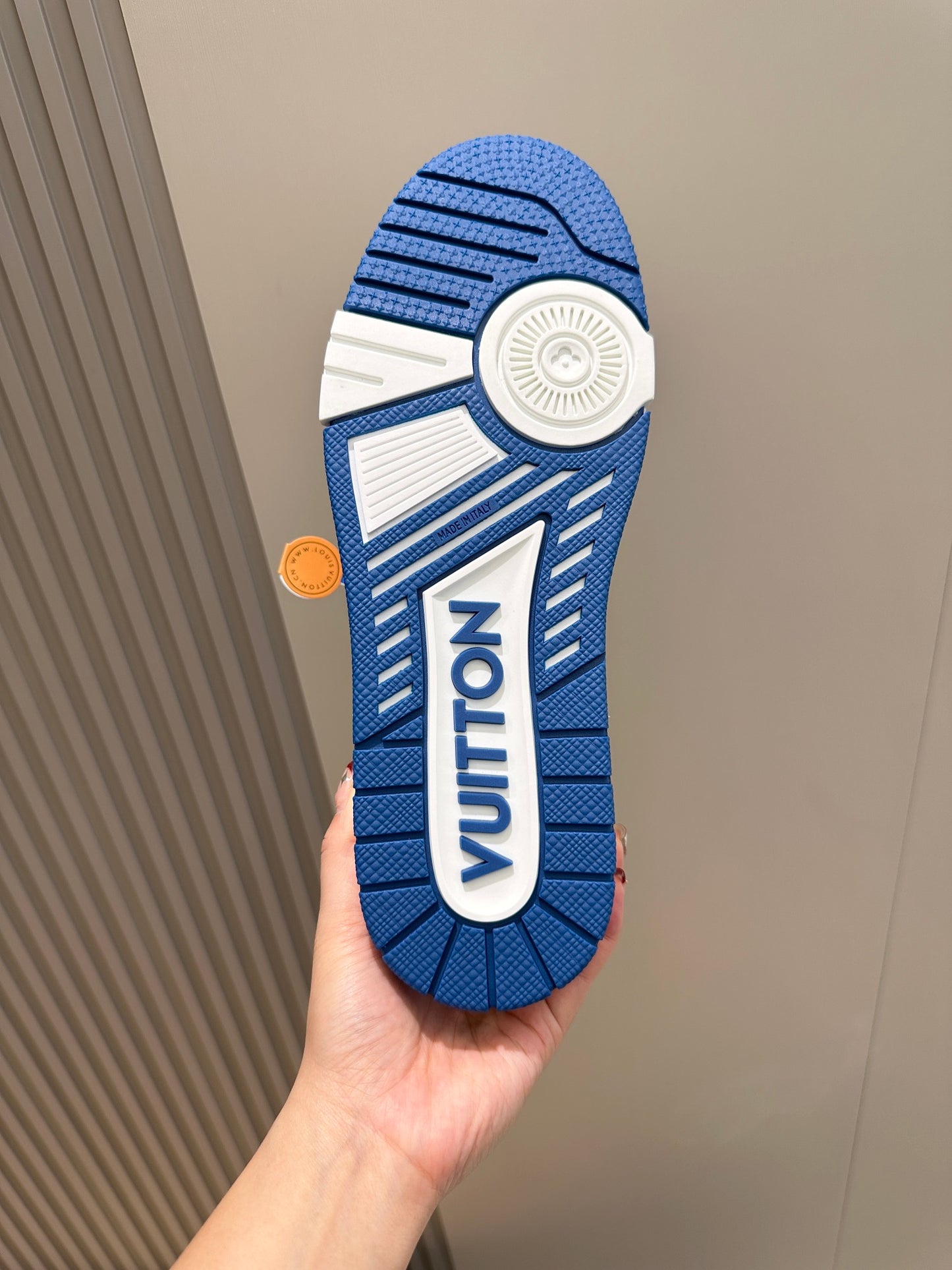 Louis Vuitton Monogram Elegance Skate Sneaker