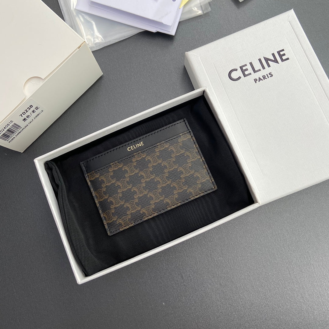 Celine Card Holder in Triomphe Canvas with Celine Print