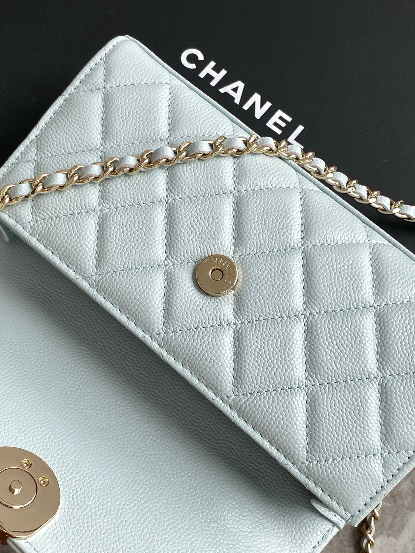 Chanel Timeless Elegance Tote Bag