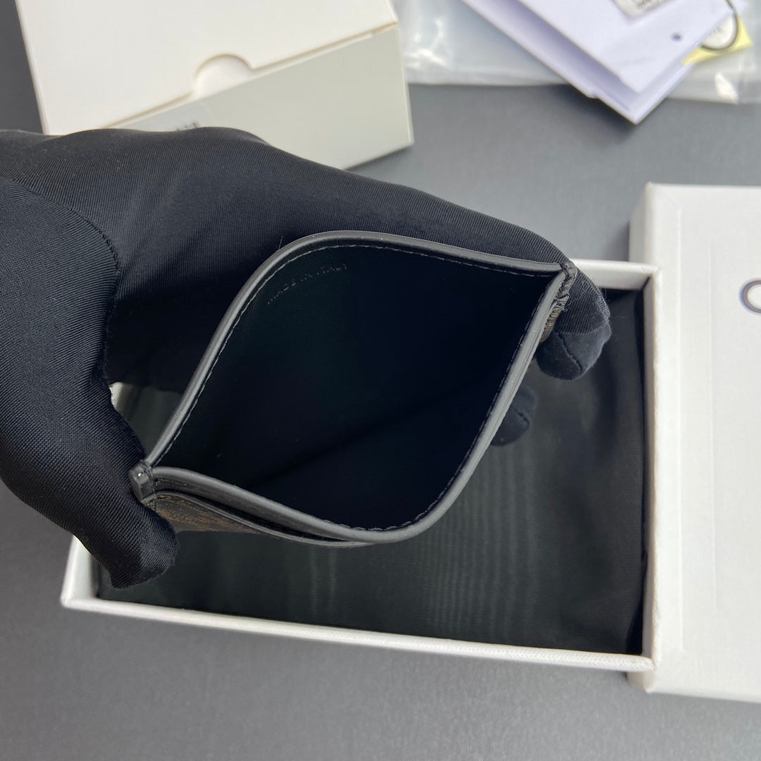 Celine Card Holder in Triomphe Canvas with Celine Print