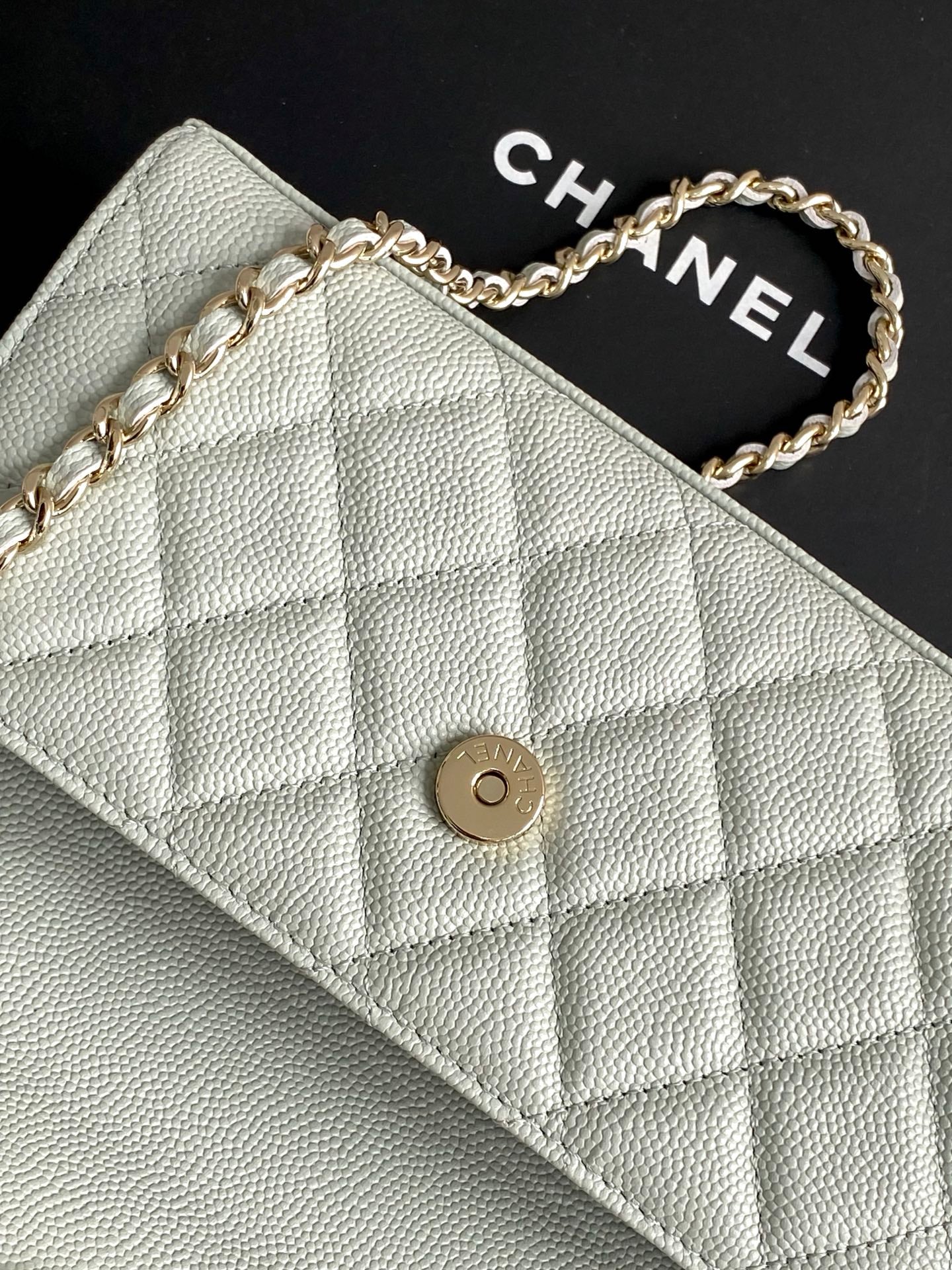 Chanel Timeless Elegance Tote Bag