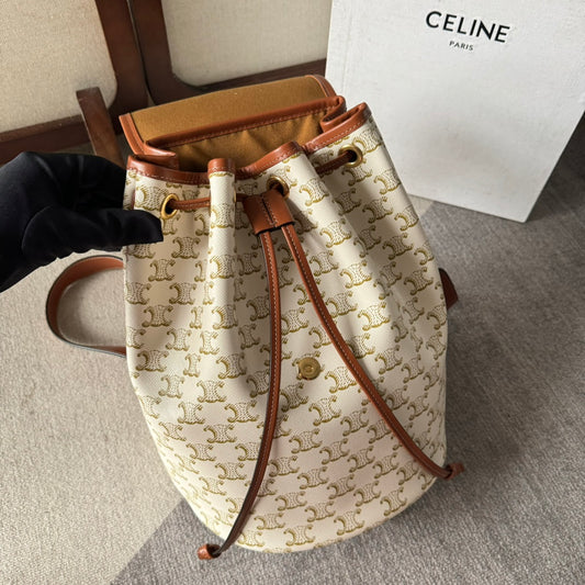 Celine Teen Clara Bag in Triomphe Canvas and calfskin