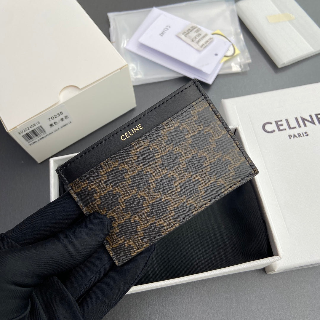 Celine Card Holder in Triomphe Canvas with Celine Print