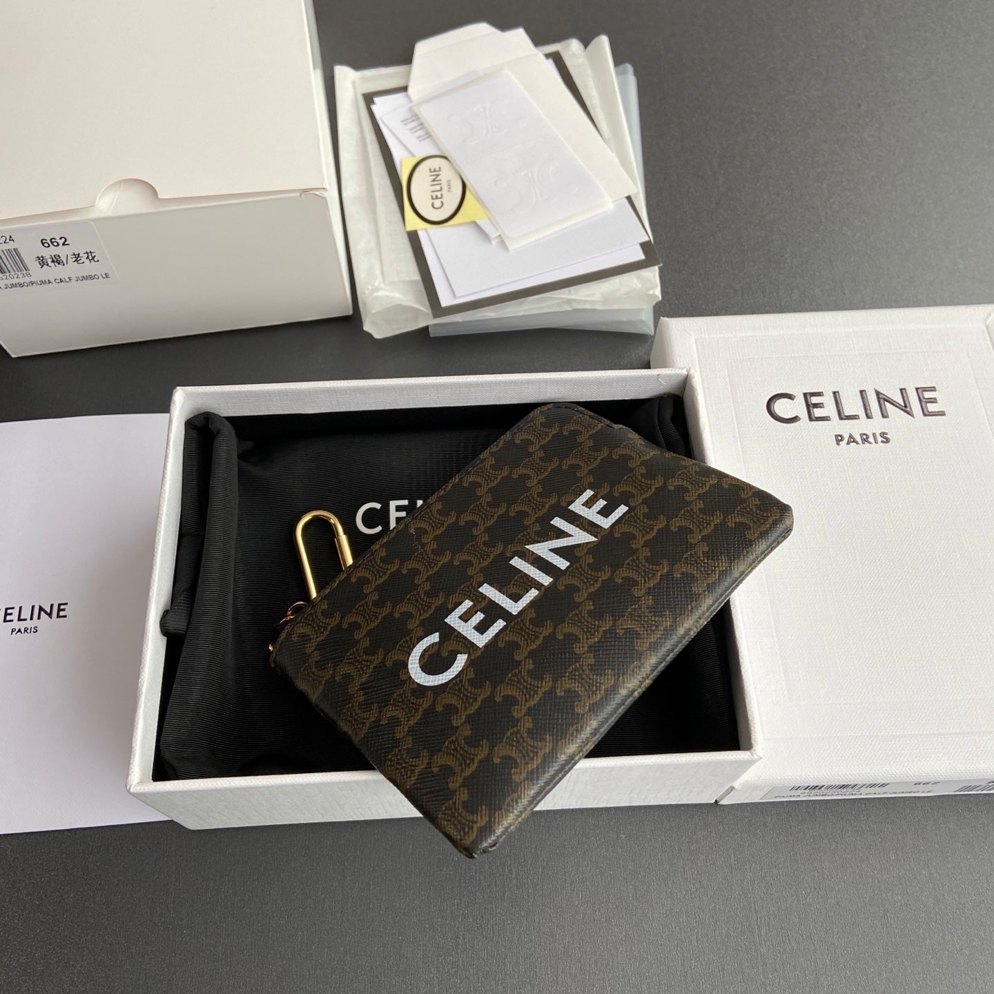 Celine Small Pouch in Triomphe Canvas with Celine Print