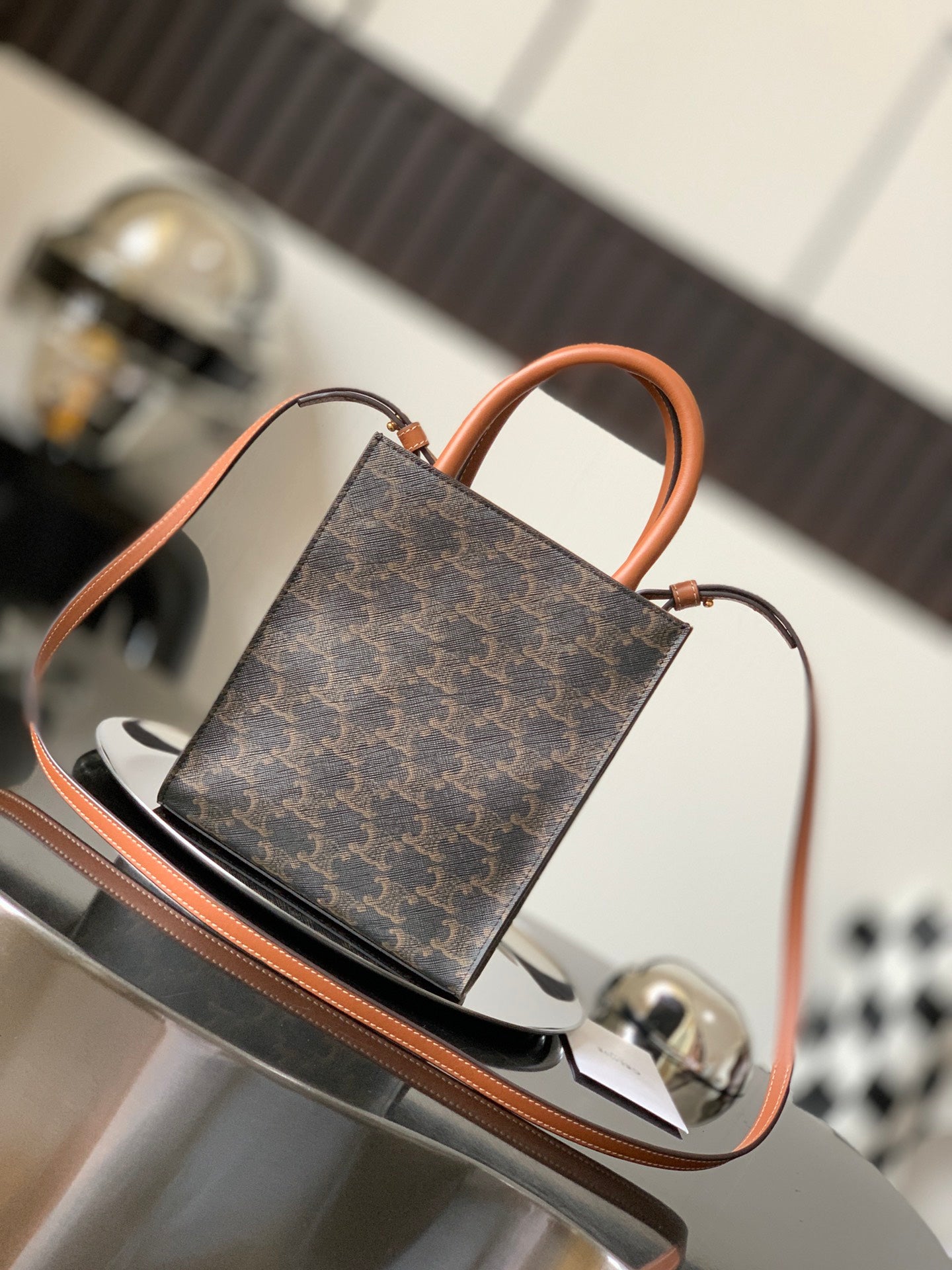 Celine Mini Vertical Cabas in Triomphe Canvas with Celine Print