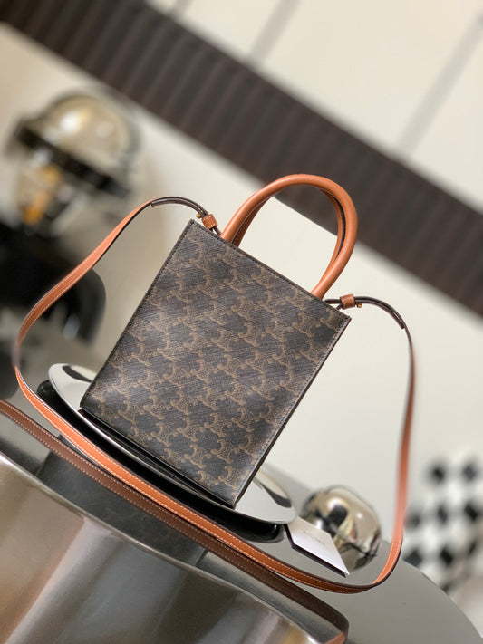 Celine Mini Vertical Cabas in Triomphe Canvas with Celine Print