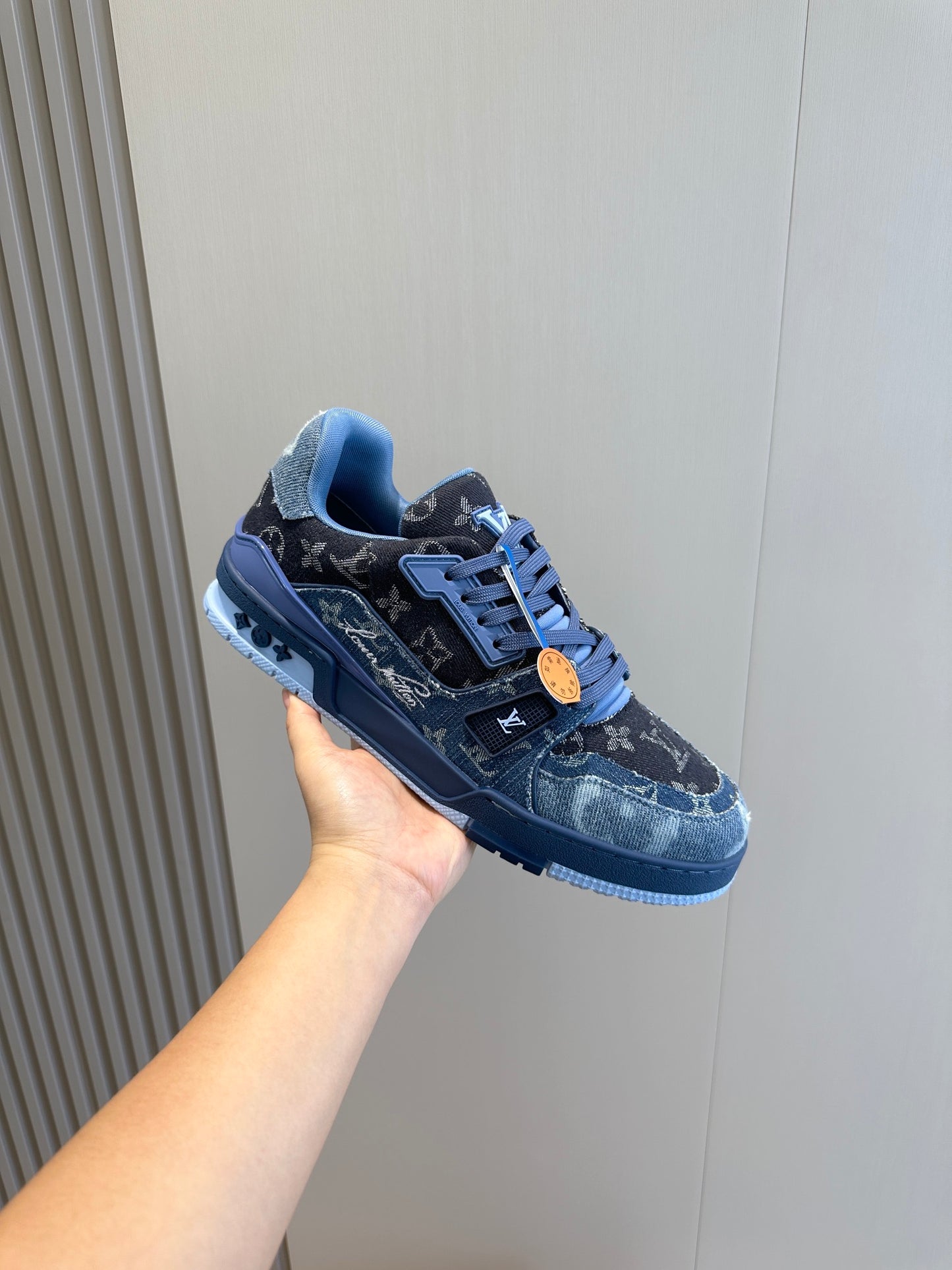 Louis Vuitton Blue & Purple Elegance Trainers