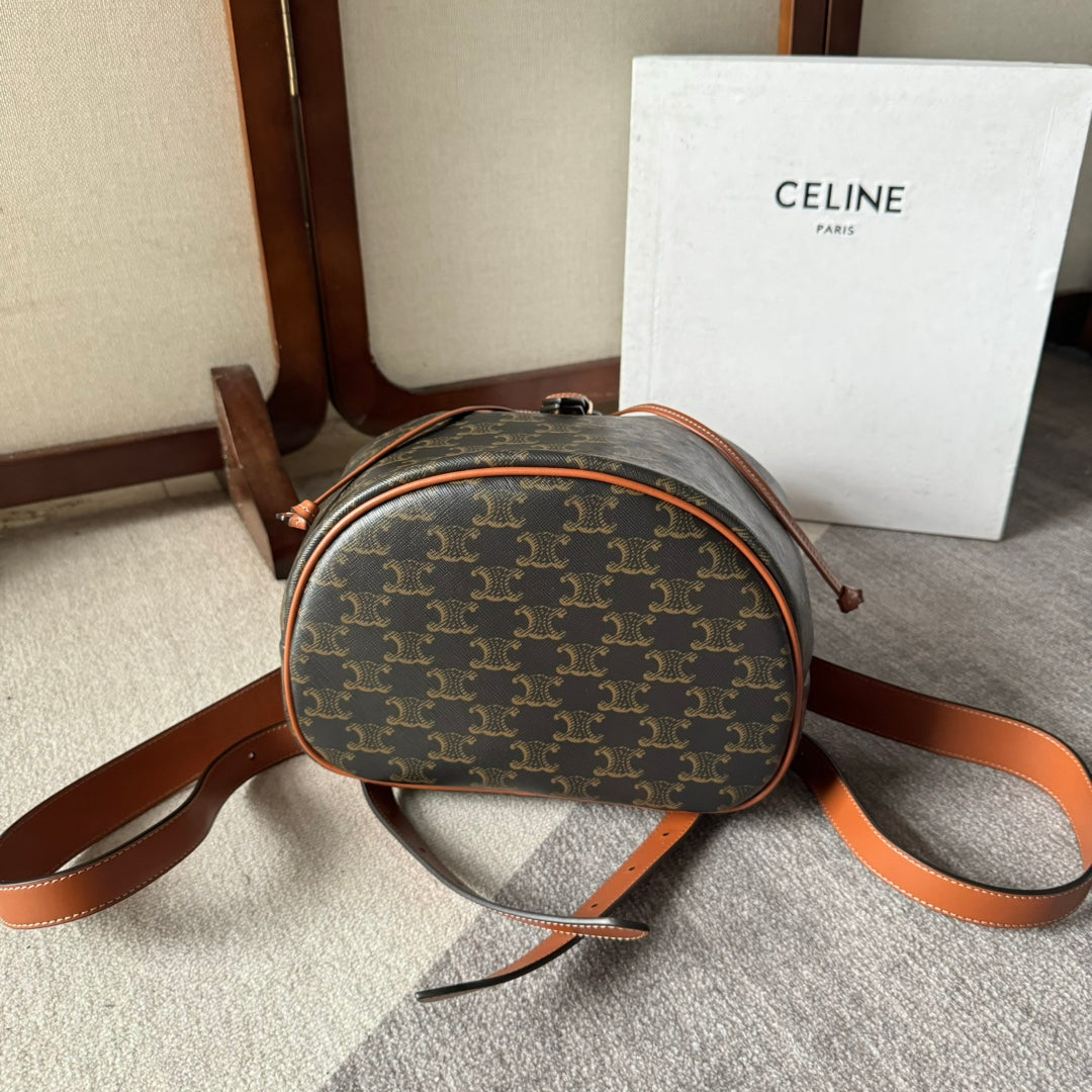 Celine Teen Clara Bag in Triomphe Canvas and calfskin